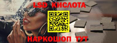 прущие грибы Бердск