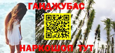 прущие грибы Бердск