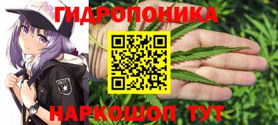 прущие грибы Бердск