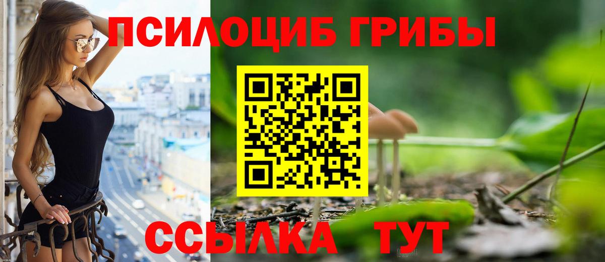 Галлюциногенные грибы прущие грибы Верхняя Салда