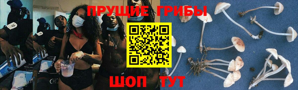 Псилоцибиновые грибы Psilocybine cubensis  Вход с VPN  цена   Верхняя Салда 